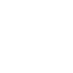 brand-_0019_suzylu-logo